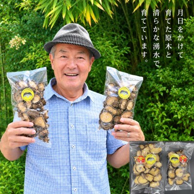 阿蘇・産山村産　原木乾燥しいたけ中小200g(100g×2)