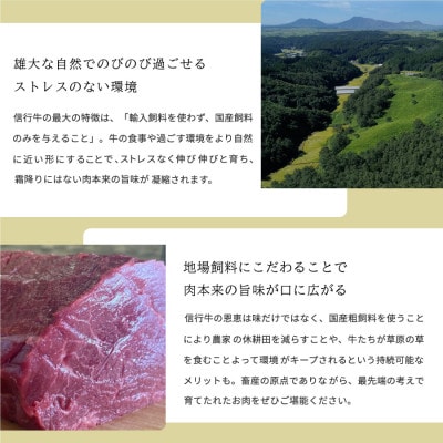 【数量限定】産山村産　あか牛『信行牛』　肩ロース(焼肉用)500g