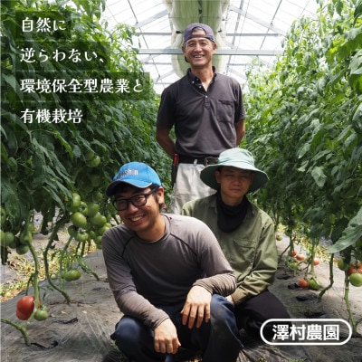 《先行受付!7月より順次発送》有機JASとっぺんトマト 約2kg(7～15個入り)