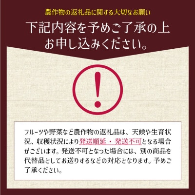 《先行受付!7月より順次発送》有機JASとっぺんトマト 約2kg(7～15個入り)