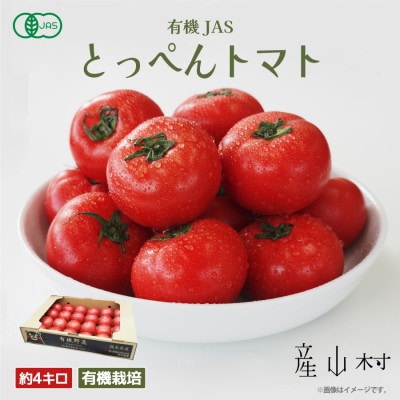 《先行受付!7月より順次発送》 有機JASとっぺんトマト 約4kg(14～30個入り)