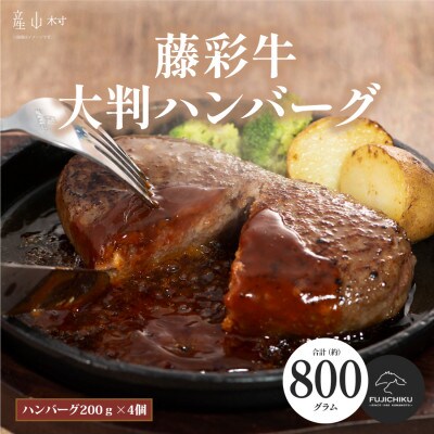 フジチク藤彩牛大判ハンバーグ 合計800g(産山村)