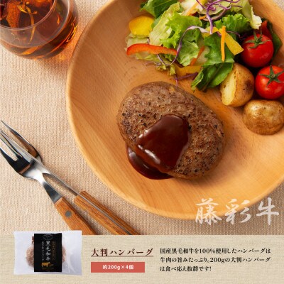 フジチク藤彩牛大判ハンバーグ 合計800g(産山村)