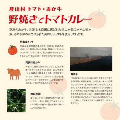 【7月上旬発送】産山村・トマト・あか牛　　野焼きでトマトカレー　180ml×3