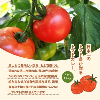 【7月上旬発送】産山村・トマト・あか牛　　野焼きでトマトカレー　180ml×3