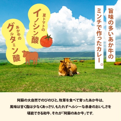 【7月上旬発送】産山村・トマト・あか牛　　野焼きでトマトカレー　180ml×3