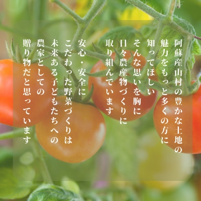 【7月上旬発送】阿蘇 朝採れ ミニトマト1kg
