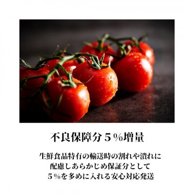 【7月上旬発送】阿蘇 朝採れ ミニトマト1kg