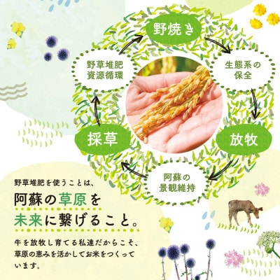 おとみや日和　阿蘇の名水と野草堆肥のめぐみ　玄米20kg(10kg×2袋)