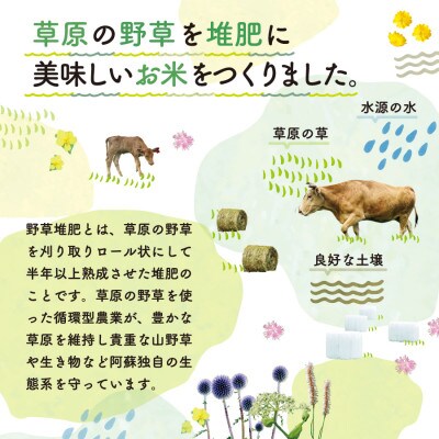 おとみや日和　　阿蘇の名水と野草堆肥のめぐみ　白米4kg(2kg×2袋)