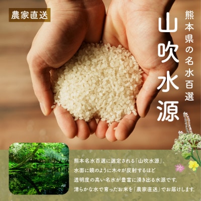 おとみや日和　　阿蘇の名水と野草堆肥のめぐみ　白米4kg(2kg×2袋)
