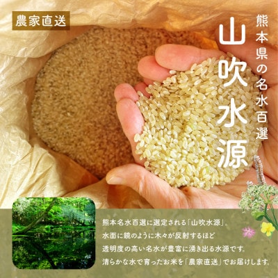 【令和7年産新米】おとみや日和　阿蘇の名水と野草堆肥のめぐみ　玄米10kg