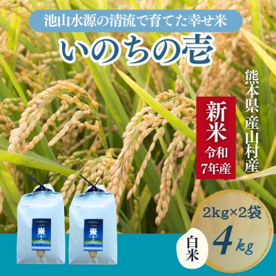【令和7年産新米】池山水源の清流で育てた幸せ米　いのちの壱　白米(2kg×2袋)