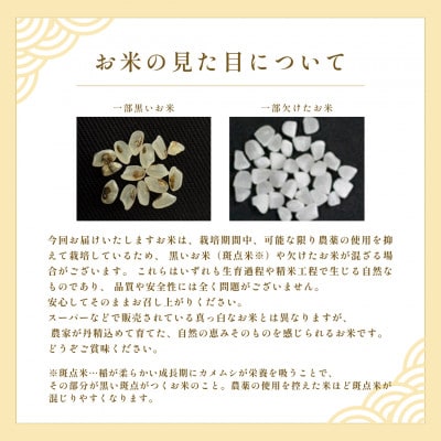 【令和7年産新米】池山水源の清流で育てた幸せ米　いのちの壱　白米(2kg×2袋)