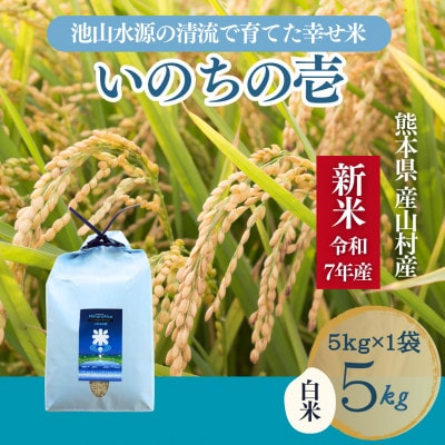 【令和7年産新米】池山水源の清流で育てた幸せ米　いのちの壱　白米(5kg×1袋)