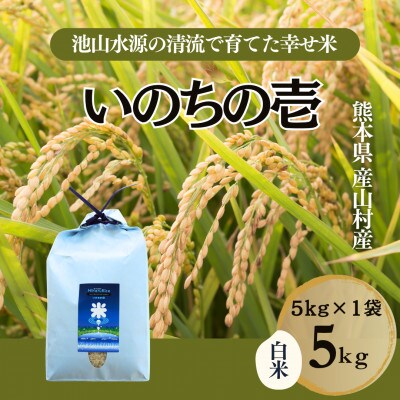 【令和7年産】池山水源の清流で育てた幸せ米　いのちの壱　白米(5kg×1袋)