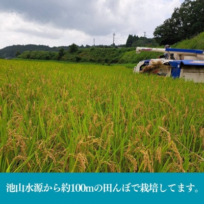 【令和7年産新米】池山水源の清流で育てた幸せ米　いのちの壱　白米(5kg×1袋)