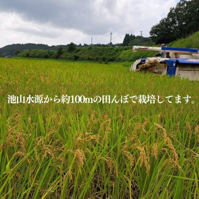 【令和7年産】池山水源の清流で育てた幸せ米　いのちの壱　白米(5kg×1袋)