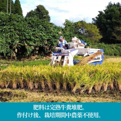 【令和7年産新米】池山水源の清流で育てた幸せ米　いのちの壱　白米(5kg×1袋)