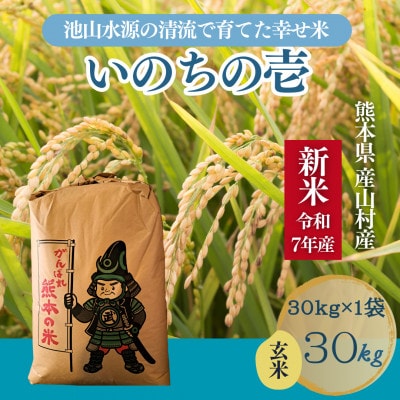 【令和7年産新米】池山水源の清流で育てた幸せ米　いのちの壱　玄米(30kg×1袋)