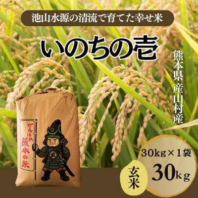 【令和7年産】池山水源の清流で育てた幸せ米　いのちの壱　玄米(30kg×1袋)