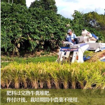 【令和7年産】池山水源の清流で育てた幸せ米　いのちの壱　玄米(30kg×1袋)
