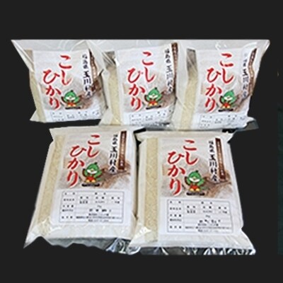 【令和元年産】こぶしの里 福島県産コシヒカリ米(10kg)