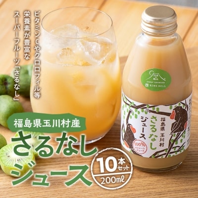 日本の極み　福島県玉川村産さるなしジュース10本セット