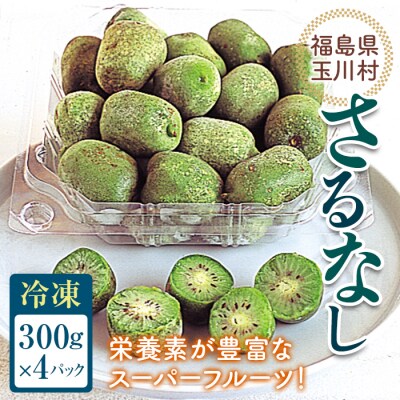 さるなし 冷凍 1.2kg ベビーキウイ こくわ スーパーフルーツ 福島県 玉川村 | ふるさと納税のお礼品