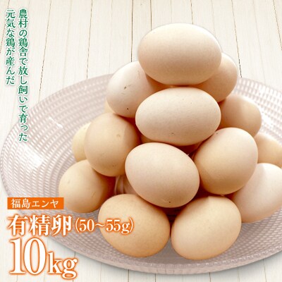 玉川村産 有精卵50～55g 180玉(割れ保証20玉含む) 栄養満点 タマゴ 玉子 エッグ 国産