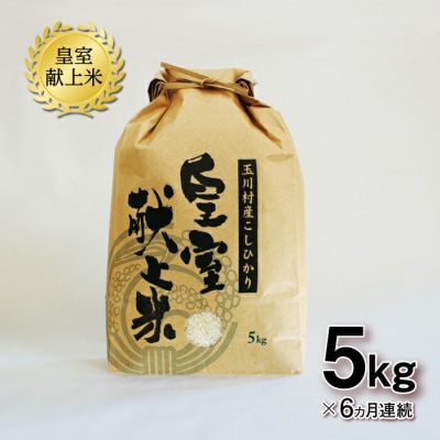 【6ヶ月連続】玉川村産コシヒカリ 5kg こめ コメ FT18-271