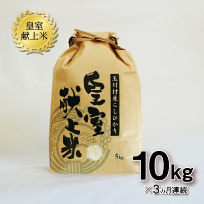 【3ヶ月連続】玉川村産コシヒカリ 10kg こめ コメ FT18-272