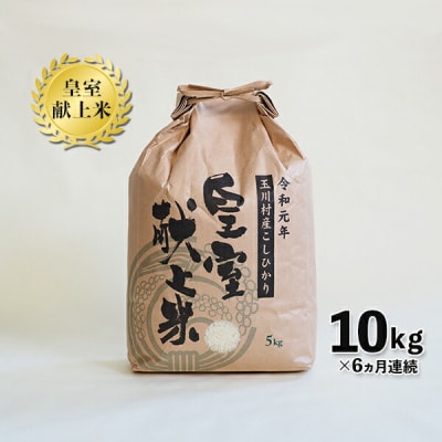 【6ヶ月連続】玉川村産コシヒカリ 10kg こめ コメ FT18-273