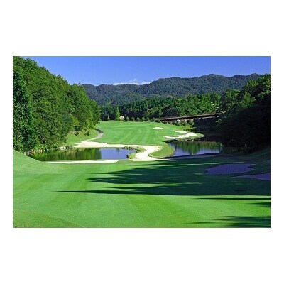 エクセレントゴルフクラブみたけ花トピアコースゴルフプレー御優待券 C お礼品詳細 ふるさと納税なら さとふる