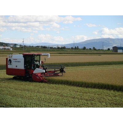 令和元年産 北海道秩父別町ゆめぴりか5㎏特Aランク【SC-02】