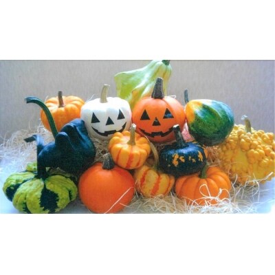 ハロウィン用おもちゃかぼちゃ E 05 お礼品詳細 ふるさと納税なら さとふる