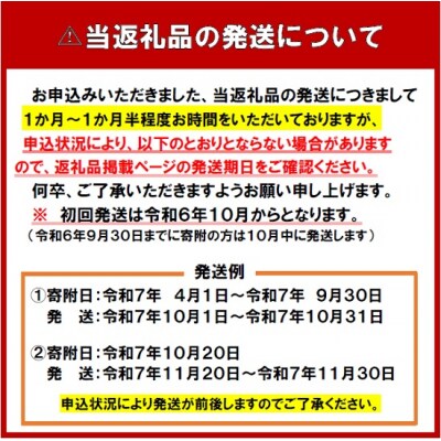 【先行受付】令和7年産 無洗米ななつぼし5kg&無洗米ゆめぴりか5kg【R7SD2】