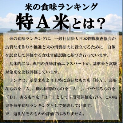【先行受付】令和7年産 無洗米ななつぼし5kg&無洗米ゆめぴりか5kg【R7SD2】