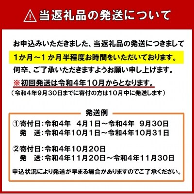 【先行受付】令和4年産 無洗米ななつぼし(10kg)【SB2】