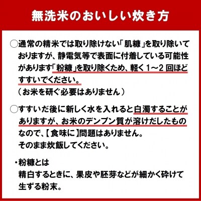 【先行受付】令和4年産 無洗米ななつぼし(10kg)【SB2】
