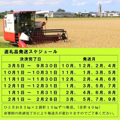 令和3年産 無洗米ゆめぴりか定期便40kg(1か月おき10kg×4か月)【新米受付】【TC-20】