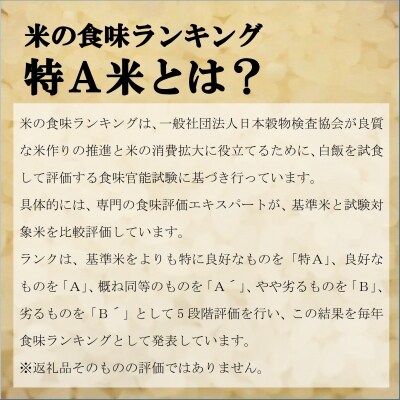 【先行受付】令和4年産 ななつぼし定期便80kg(毎月発送)【UB-02】