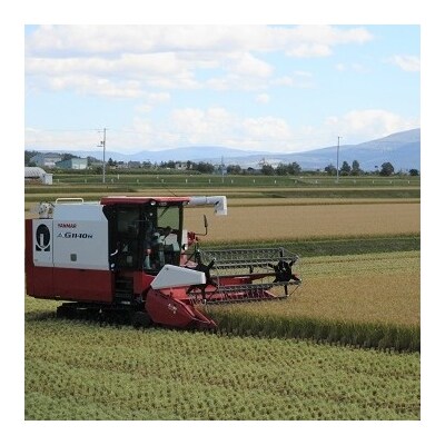 【新米受付】令和5年産 ななつぼし&ゆめぴりか定期便40kg(隔月発送)【R5UD-01】