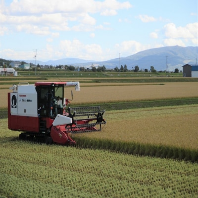 【受付中】令和7年産 ななつぼし(10kg)【R7SB1】