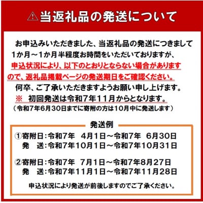 【受付中】令和7年産 無洗米ななつぼし(10kg)【R7SB2】
