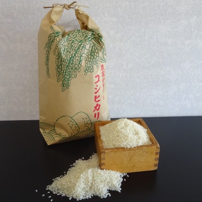 令和7年産【新米】福島県産コシヒカリ 精米 5kg