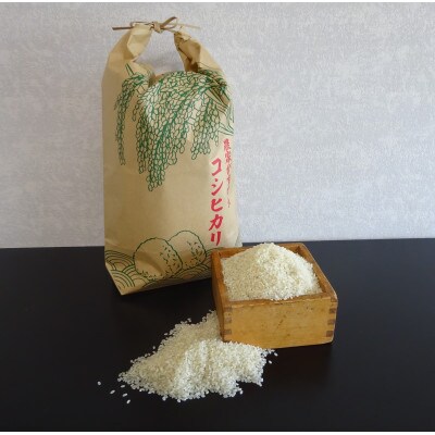 令和7年産福島県産コシヒカリ10kg(精米)