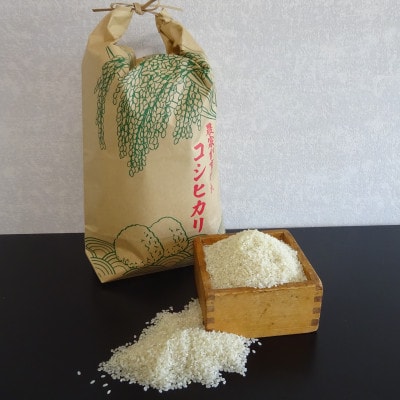 福島県産コシヒカリ(精米)5kg+鮮さんま2kg(15～20尾)【複数個口で配送】