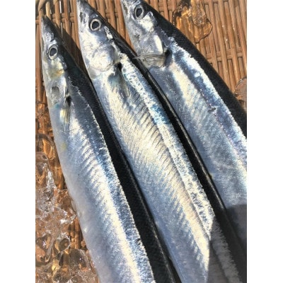 福島県産コシヒカリ(精米)5kg+鮮さんま2kg(15～20尾)【複数個口で配送】