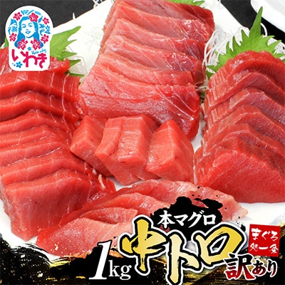 本マグロ訳あり中トロ 約1kg 解凍レシピ付き